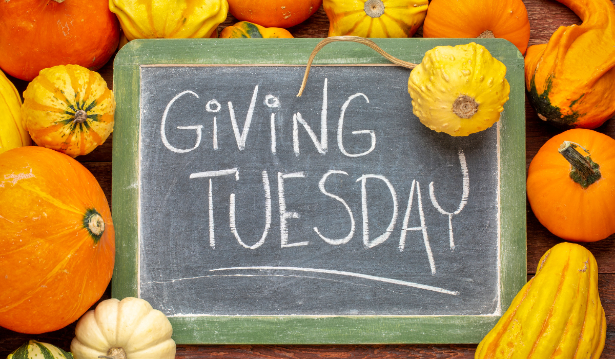 Last-Minute Giving Tuesday Strategies: